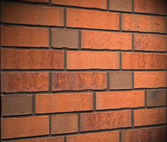 Облицовочный кирпич Vascu / terracotta