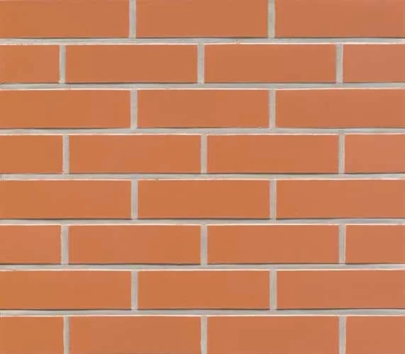 Облицювальна плитка Feldhaus Terracotta/ liso R220 NF9