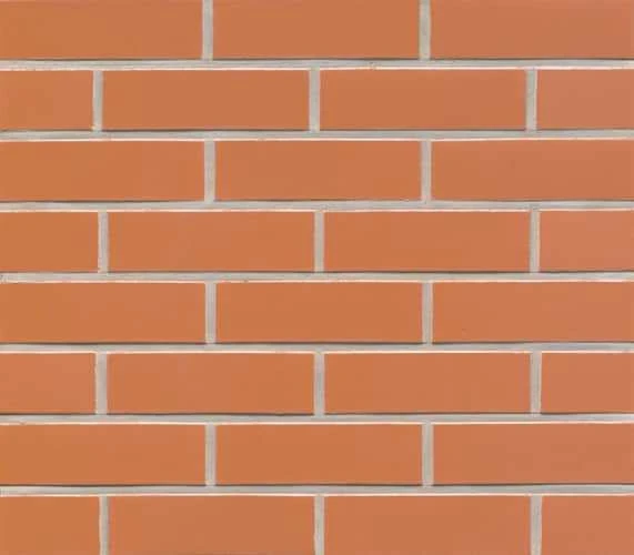 Облицовочная плитка Feldhaus Terracotta/ liso R220 NF9