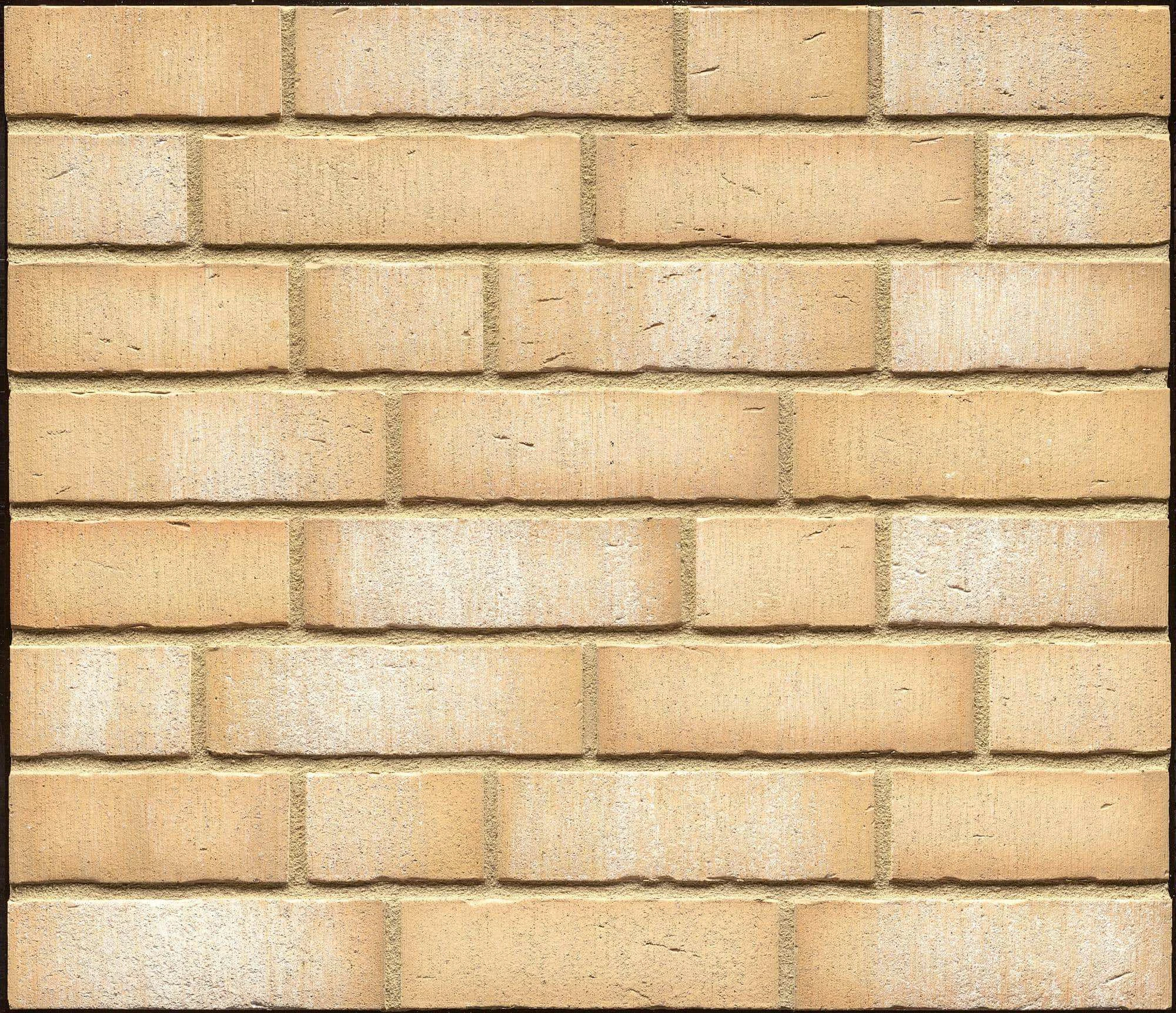 Облицовочная плитка Feldhaus Vascu / crema bora R730 DF14