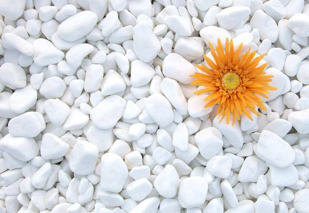 Галька Pebbles White Thasos (20kg)