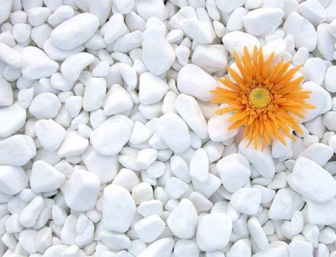 Галька Pebbles White Thasos (20kg)