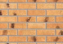 https://klinker-stone.com.ua/uploads/image_product/47745/small-688357c0c1ce6.webp