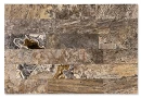 https://klinker-stone.com.ua/uploads/image_product/47840/small-68b1bb6bb8cc4.webp
