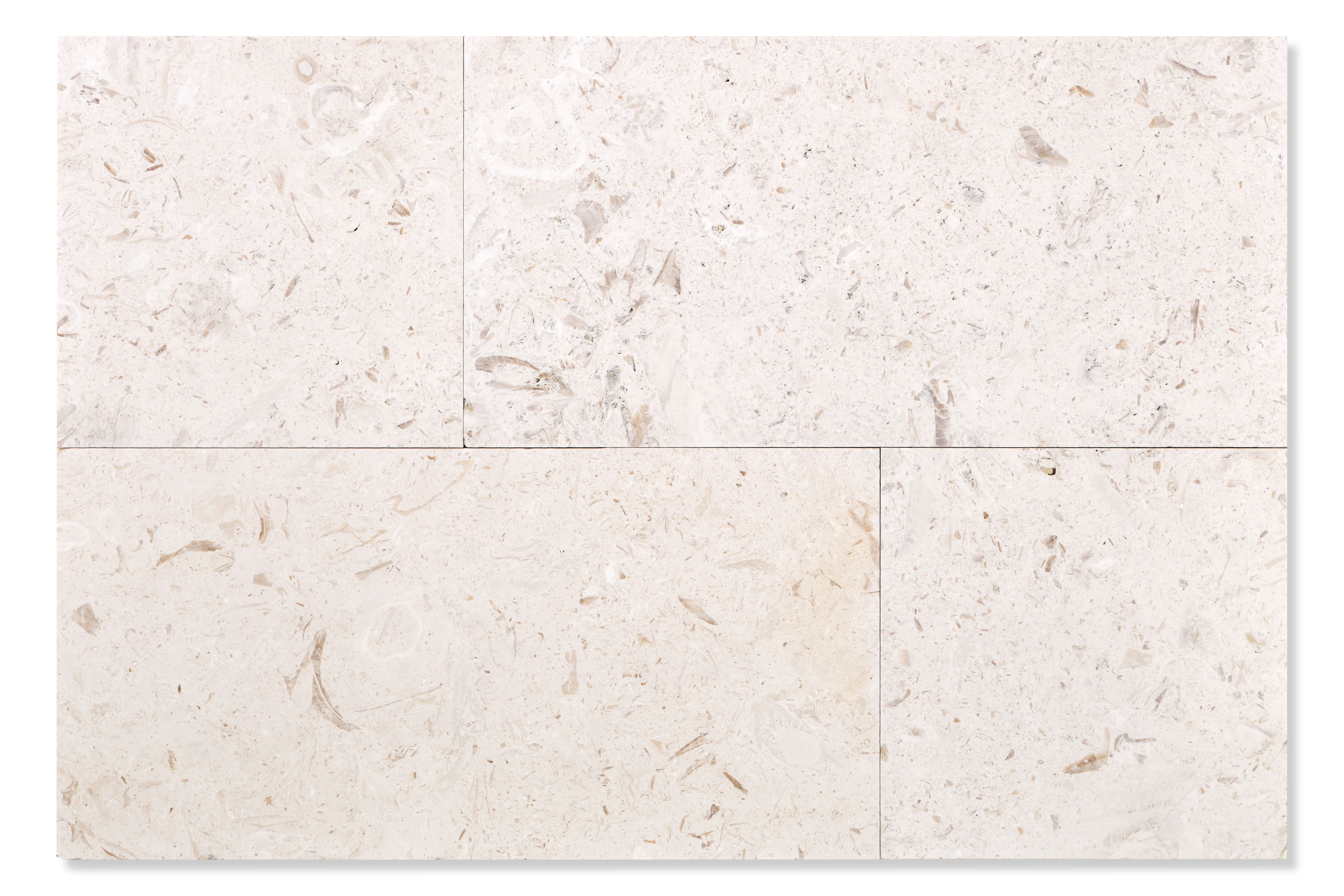 Вапняк Limestone Shell White Honed 